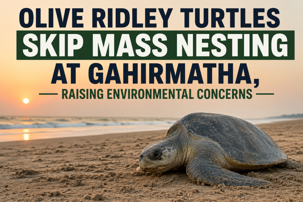 Olive Ridley Turtles Skip Mass Nesting at Gahirmatha, Raising Environmental Concerns