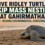 Olive Ridley Turtles Skip Mass Nesting at Gahirmatha, Raising Environmental Concerns