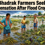 Flood-affected agricultural land submerged in Bhadrak after river waters receded
