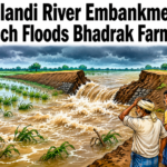 Floodwater entering agricultural fields after the Salandi River embankment breach near Lanjatara in Bhadrak district.