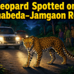 Leopard reportedly spotted on the Sunabeda–Jamgaon road inside Sunabeda Wildlife Sanctuary in Nuapada district.