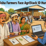 Odisha farmers face AgriStack ID requirement for Kharif paddy procurement