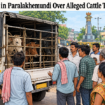 Tension in Paralakhemundi Over Alleged Cattle Transport