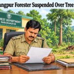 Nabarangpur Forester Bipin Kumar Harijan suspended over alleged unauthorized tree cutting